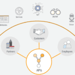 La revolución de las APIs. Gestión e implementación de APIs.