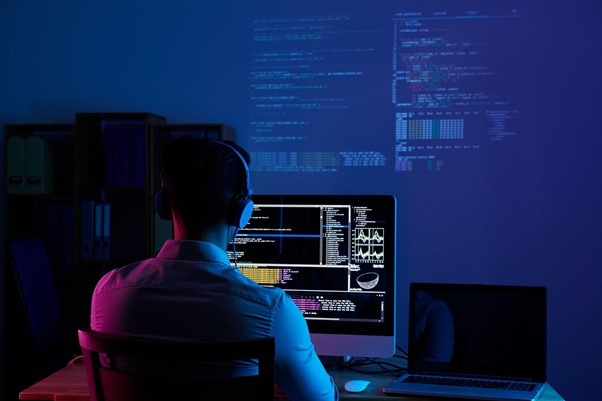 programador - desarrollo web - imagar
