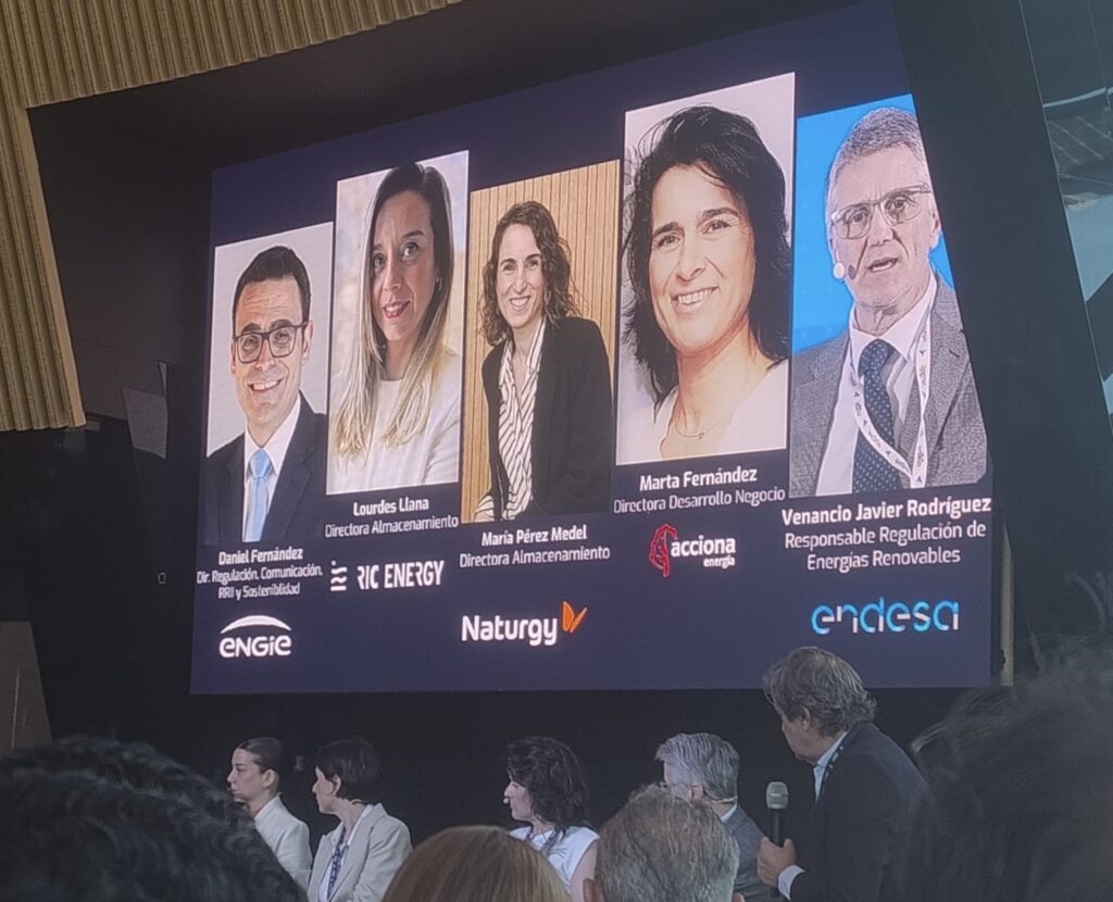 Imagar En El Foro De Almacenamiento De El Periodico De La Energia 02
