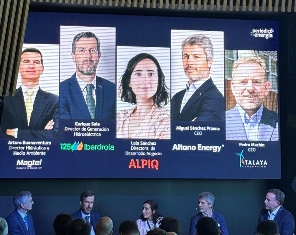Imagar En El Foro De Almacenamiento De El Periodico De La Energia 03